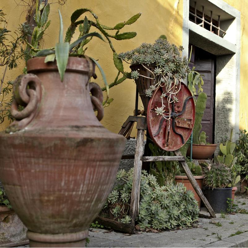 Agriturismo Il Poggetto Torre Zewnętrze zdjęcie