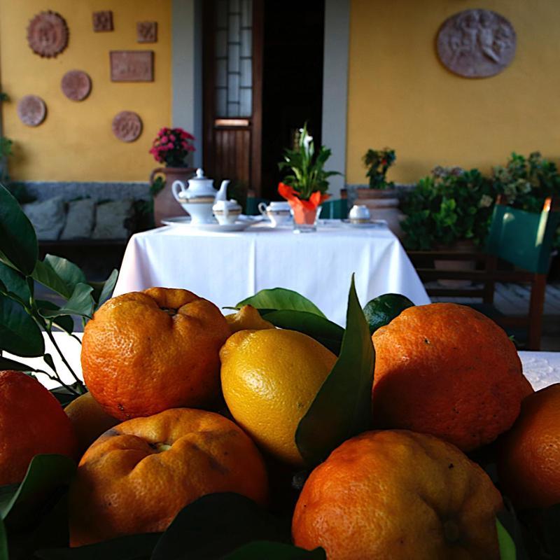 Agriturismo Il Poggetto Torre Zewnętrze zdjęcie